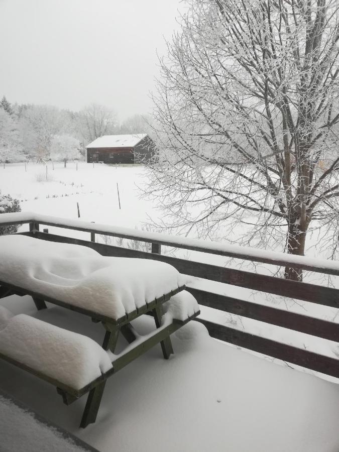 Gite La Ferme De Baffour La Chaise Dieu Bagian luar foto