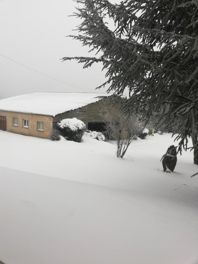 Gite La Ferme De Baffour La Chaise Dieu Bagian luar foto