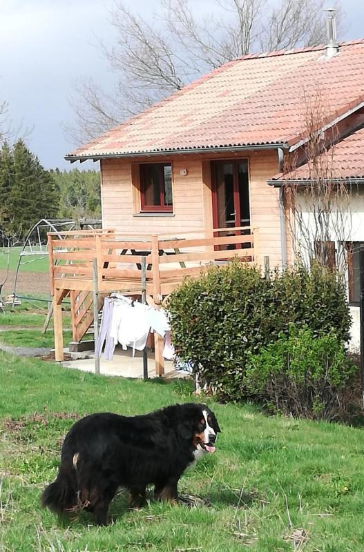 Gite La Ferme De Baffour La Chaise Dieu Bagian luar foto